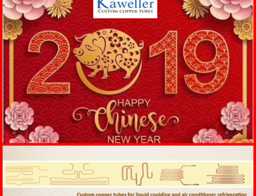 2019 Happy Chinese New Year!